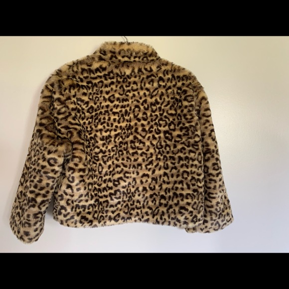 Jacket - Picture 2 of 5